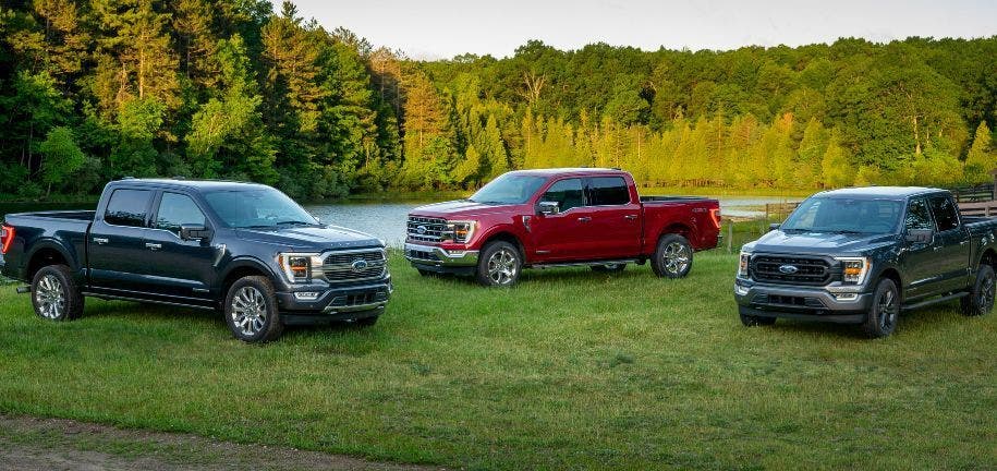 Ford F-150 Series: Price, Reliable Years & Common Issues